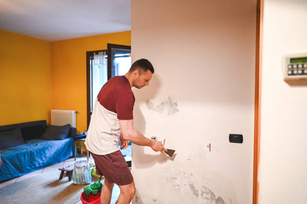 Best Kitchen Mold Remediation in Roslyn, NY