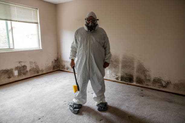 Best Emergency Mold Remediation in Roslyn, NY